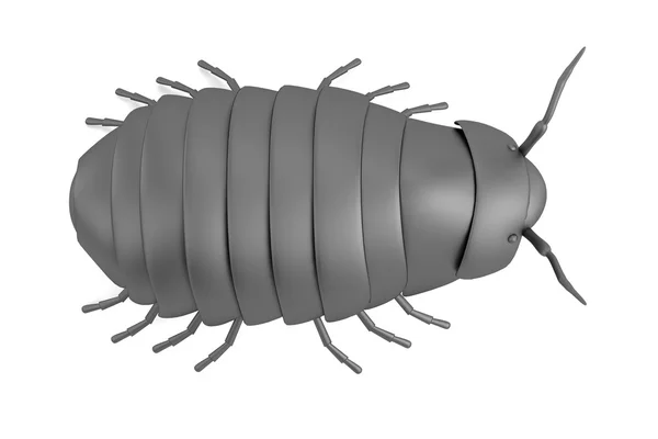 Realistic 3d render of pillbug — Stock Photo, Image
