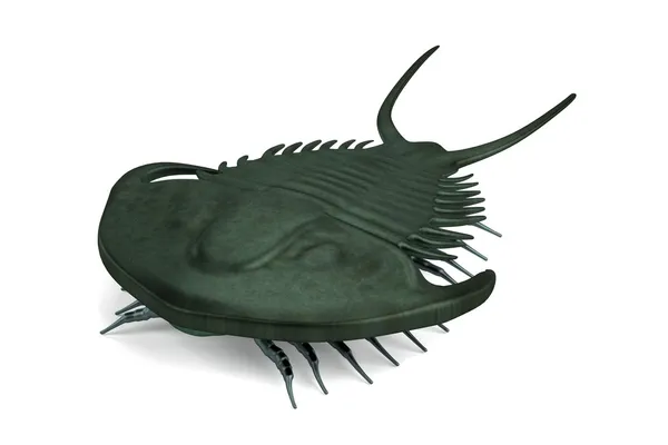 Renderização 3d realista de trilobita — Fotografia de Stock