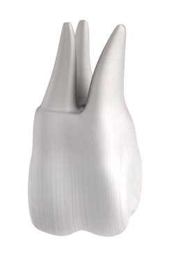 insan dişi gerçekçi 3d render