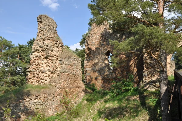 Foto der alten Burgruine von Vrskamyk — Stockfoto