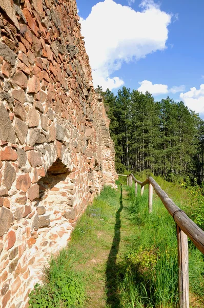 Vrskamyk 古い城の遺跡の写真 — ストック写真