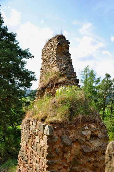 Vrskamyk 旧城堡废墟的照片 — 图库照片