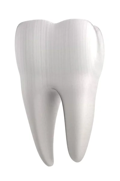 Realista 3d renderizado de diente humano — Foto de Stock