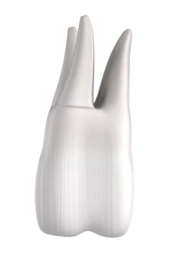 rendering del dente umano