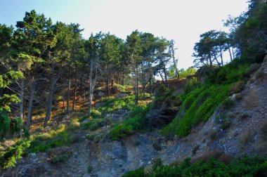Sisam Adası'nın dağları fotoğraf