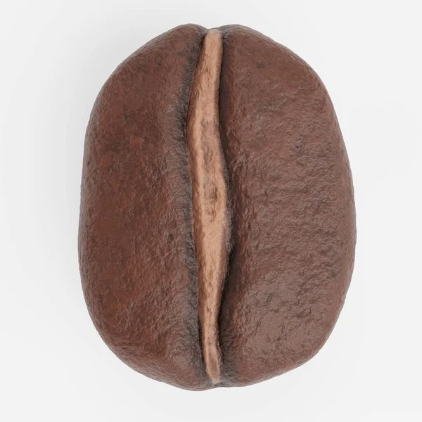 Realistic Render Coffee Bean — Stock Photo, Image