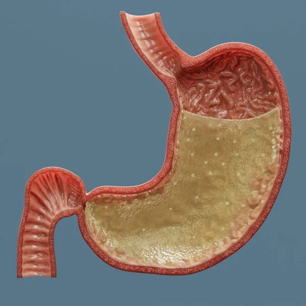 胃酸的真实感3D渲染 — 图库照片
