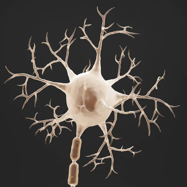 Realista Renderizado Neurona — Foto de Stock
