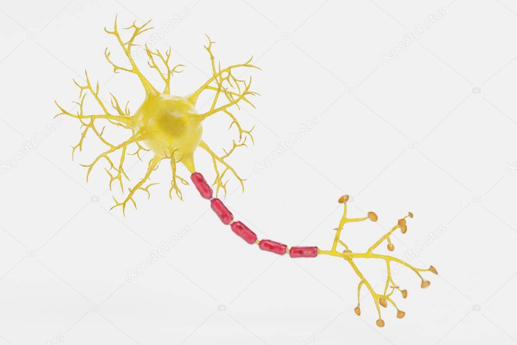 Realistic 3D Render of Neuron