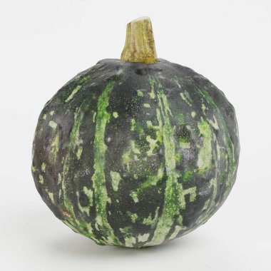 Kabak gerçekçi 3d render