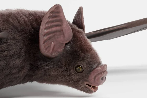 Renderização Realista Morcego Vampiro — Fotografia de Stock