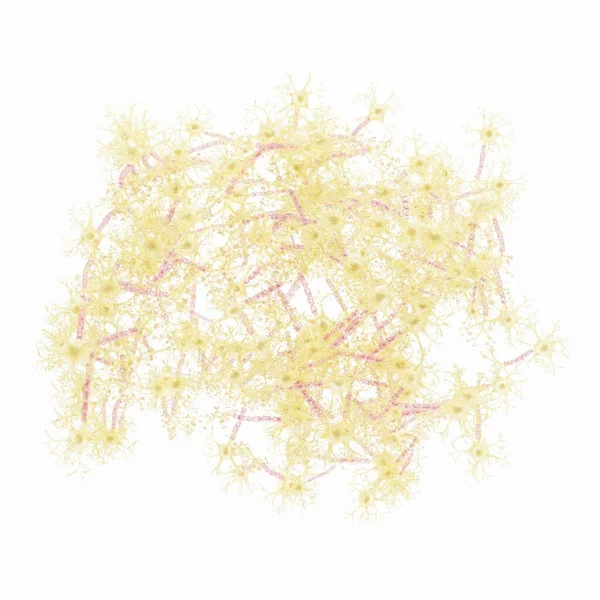 ニューラルネットワークの現実的な3Dレンダリング — ストック写真