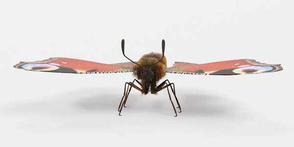 現実的な3D孔雀蝶のレンダリング — ストック写真