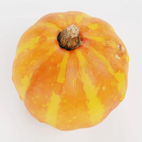 Realistic Render Pumpkin — Stock Photo, Image