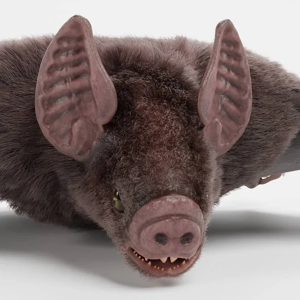 吸血鬼蝙蝠的真实感3D渲染 — 图库照片
