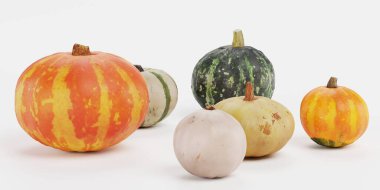 Kabakların Gerçekçi 3 Boyutlu Çizimi