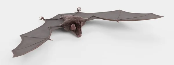 Ρεαλιστική Render Vampire Bat — Φωτογραφία Αρχείου