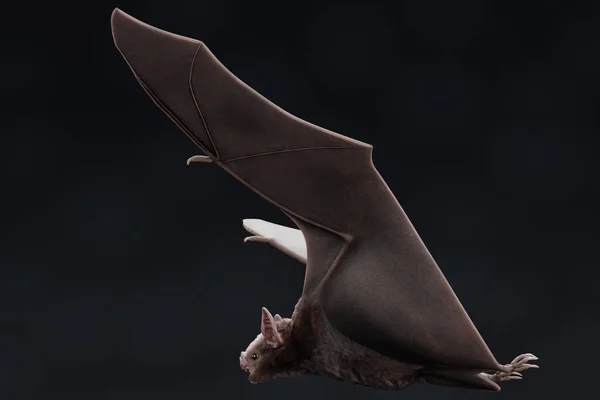 Рэпер Render Vampire Bat — стоковое фото