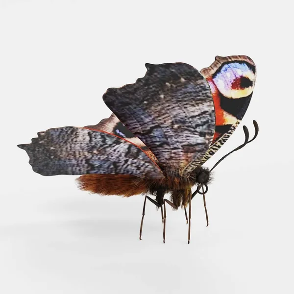 现实的孔雀蝴蝶3D渲染 — 图库照片