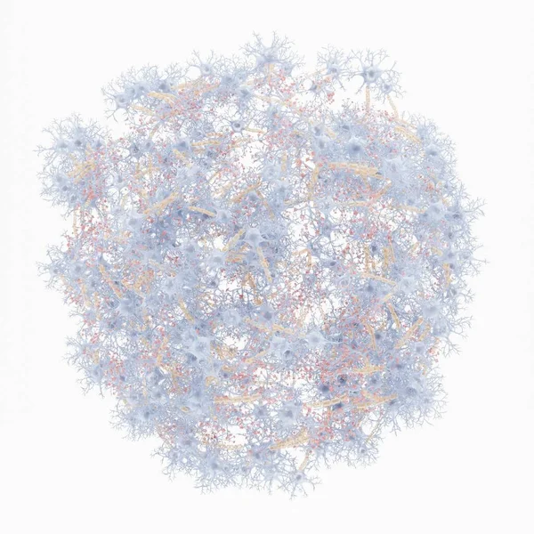 Realistische Darstellung Neuronaler Netzwerke — Stockfoto