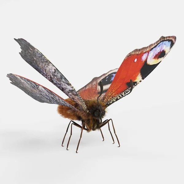 現実的な3D孔雀蝶のレンダリング — ストック写真