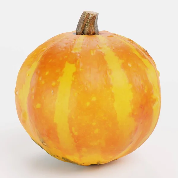 Realistic Render Pumpkin — Stock Photo, Image