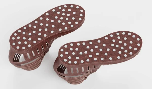 卡里加鞋子的真实感3D渲染 — 图库照片