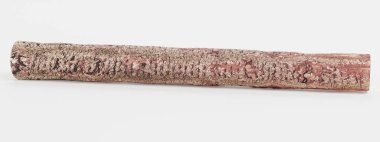 Ağaç Seyir Defterinin Gerçekçi 3B Hazırlaması