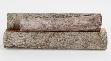 Ağaç Kayıtlarının Gerçekçi 3B Hazırlaması