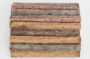 Ağaç Kayıtlarının Gerçekçi 3B Hazırlaması