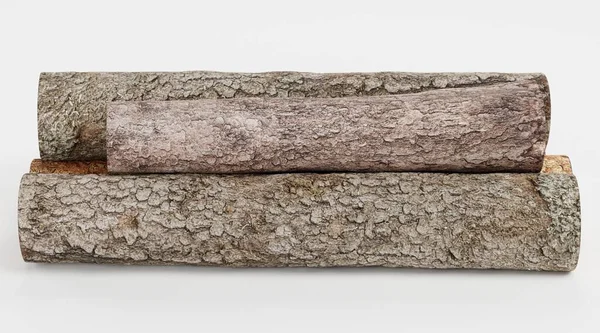 Ağaç Kayıtlarının Gerçekçi 3B Hazırlaması