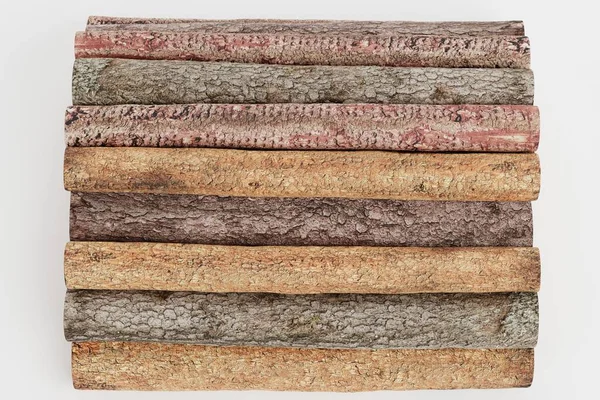 Ağaç Kayıtlarının Gerçekçi 3B Hazırlaması