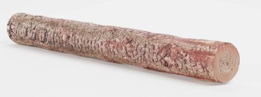 Ağaç Seyir Defterinin Gerçekçi 3B Hazırlaması