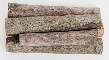 Ağaç Kayıtlarının Gerçekçi 3B Hazırlaması