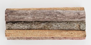 Ağaç Kayıtlarının Gerçekçi 3B Hazırlaması