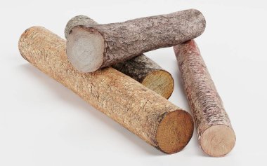 Ağaç Kayıtlarının Gerçekçi 3B Hazırlaması