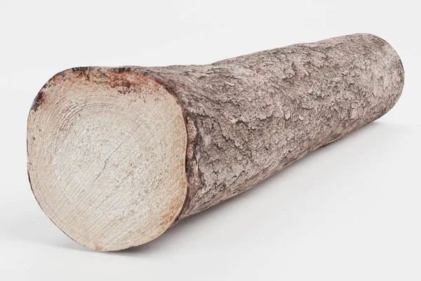 Realistische Render Tree Log — Stockfoto