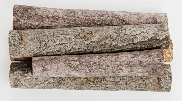 Ağaç Kayıtlarının Gerçekçi 3B Hazırlaması