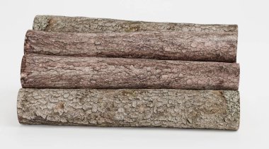 Ağaç Kayıtlarının Gerçekçi 3B Hazırlaması