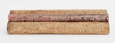 Ağaç Kayıtlarının Gerçekçi 3B Hazırlaması