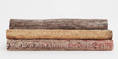 Ağaç Kayıtlarının Gerçekçi 3B Hazırlaması