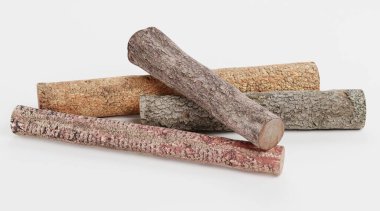 Ağaç Kayıtlarının Gerçekçi 3B Hazırlaması