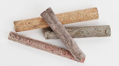 Ağaç Kayıtlarının Gerçekçi 3B Hazırlaması