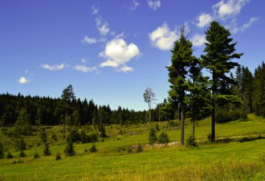 manzara - slovak cennet