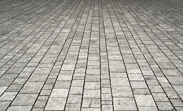 kedi ile Çinili arka plan