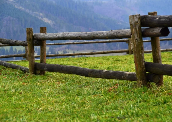 Fából készült kerítés táj a fa törzsét greenfield — Stock Fotó