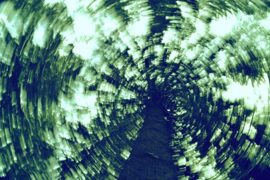 ağacın altında kafamı spin