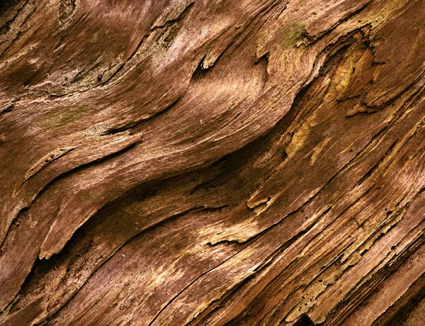 Gamla trä struktur — Stockfoto