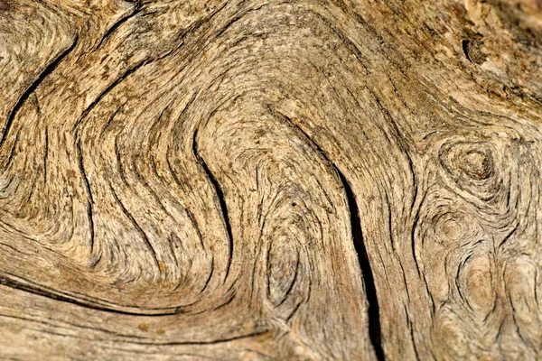 Linha de madeira velha cachos — Fotografia de Stock