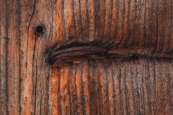 Ojo de madera — Foto de Stock